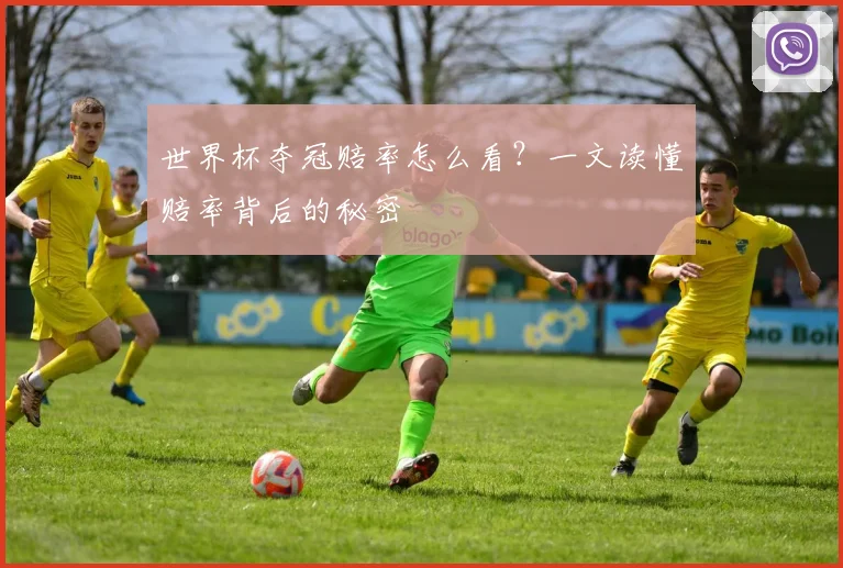世界杯夺冠赔率怎么看?一文读懂赔率背后的秘密
