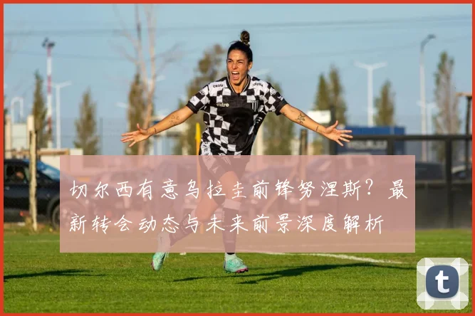 切尔西有意乌拉圭前锋努涅斯？最新转会动态与未来前景深度解析