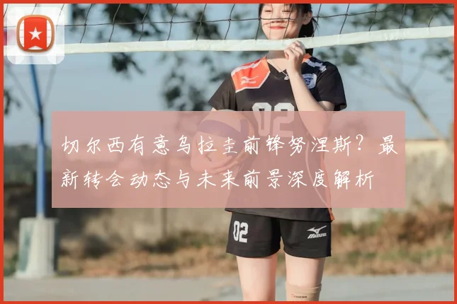 切尔西有意乌拉圭前锋努涅斯？最新转会动态与未来前景深度解析